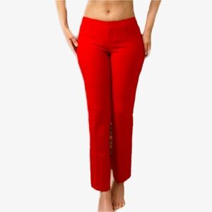 Express Columnist Dress Pants